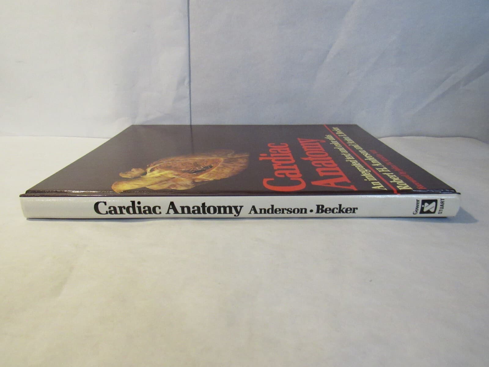 CARDIAC Anatomy: AN INTEGRAL TEXT AND COLOUR ATLAS By Robert H. Anderson Q30J - Thumbnail 7