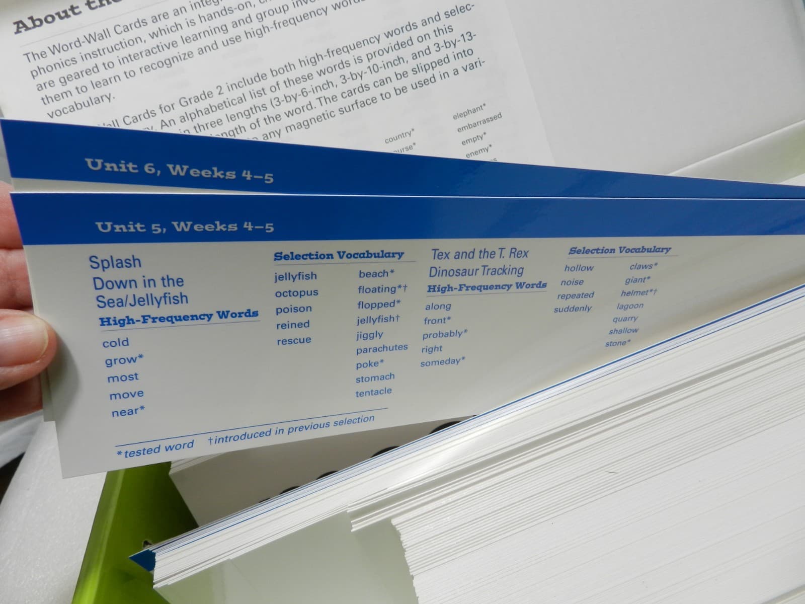 WORD-WALL CARDS GR. 2 Scott Foresman Phonics/Vocabulary High Frequency Words C11 - Thumbnail 7