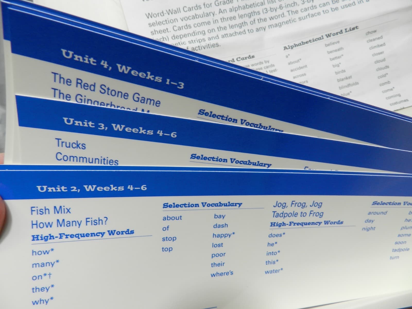 WORD-WALL CARDS GR. 1 Scott Foresman Phonics/Vocabulary High Frequency Words C10 - Thumbnail 9