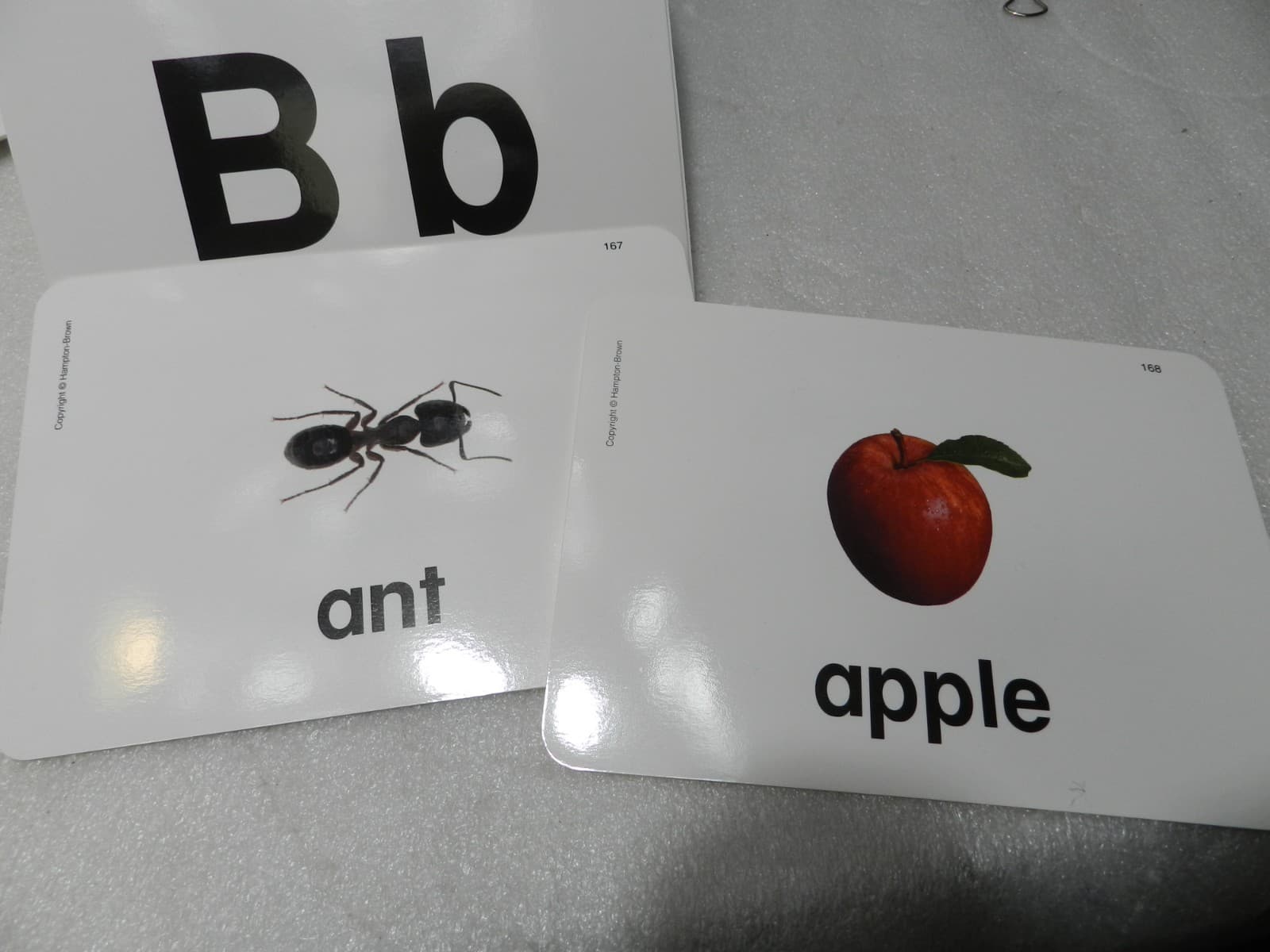 Hampton-Brown Phonics Picture Cards Homeschool Classroom 189 Gloss Cards (C13J) - Thumbnail 4