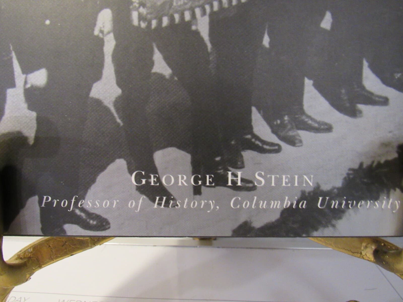 Waffen-SS: Hitlers Elite Guard at War 1939-1945 by George H. Stein (2002 HC) G14 - Thumbnail 2