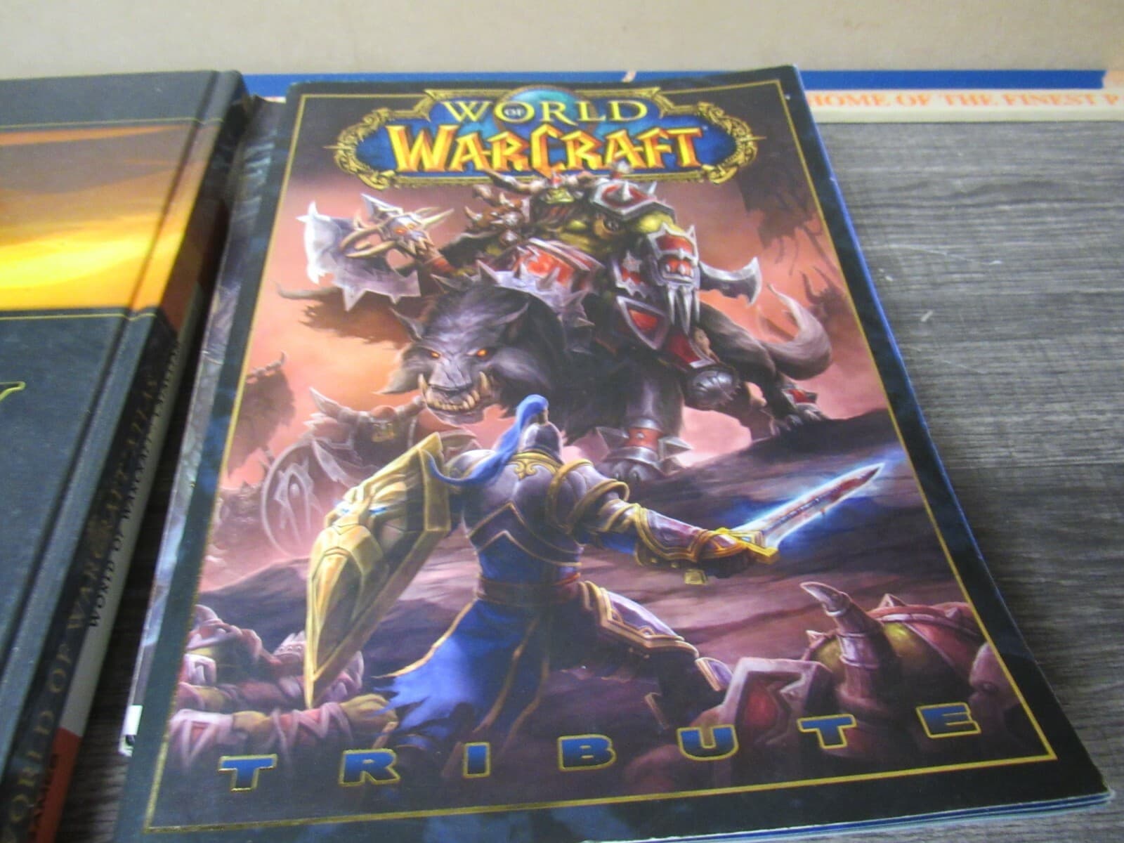 World of Warcraft Book Lot Tribute, Cataclysm, ATlas Dungeon Companion III (K) - Thumbnail 8