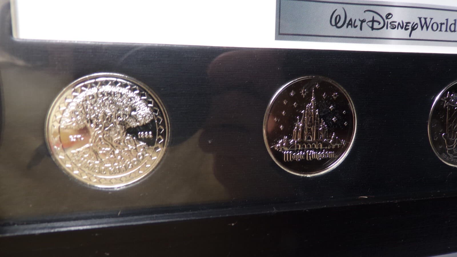 Walt Disney World Print With Coins Four Parks One World Art Picture Framed (N46M - Thumbnail 3