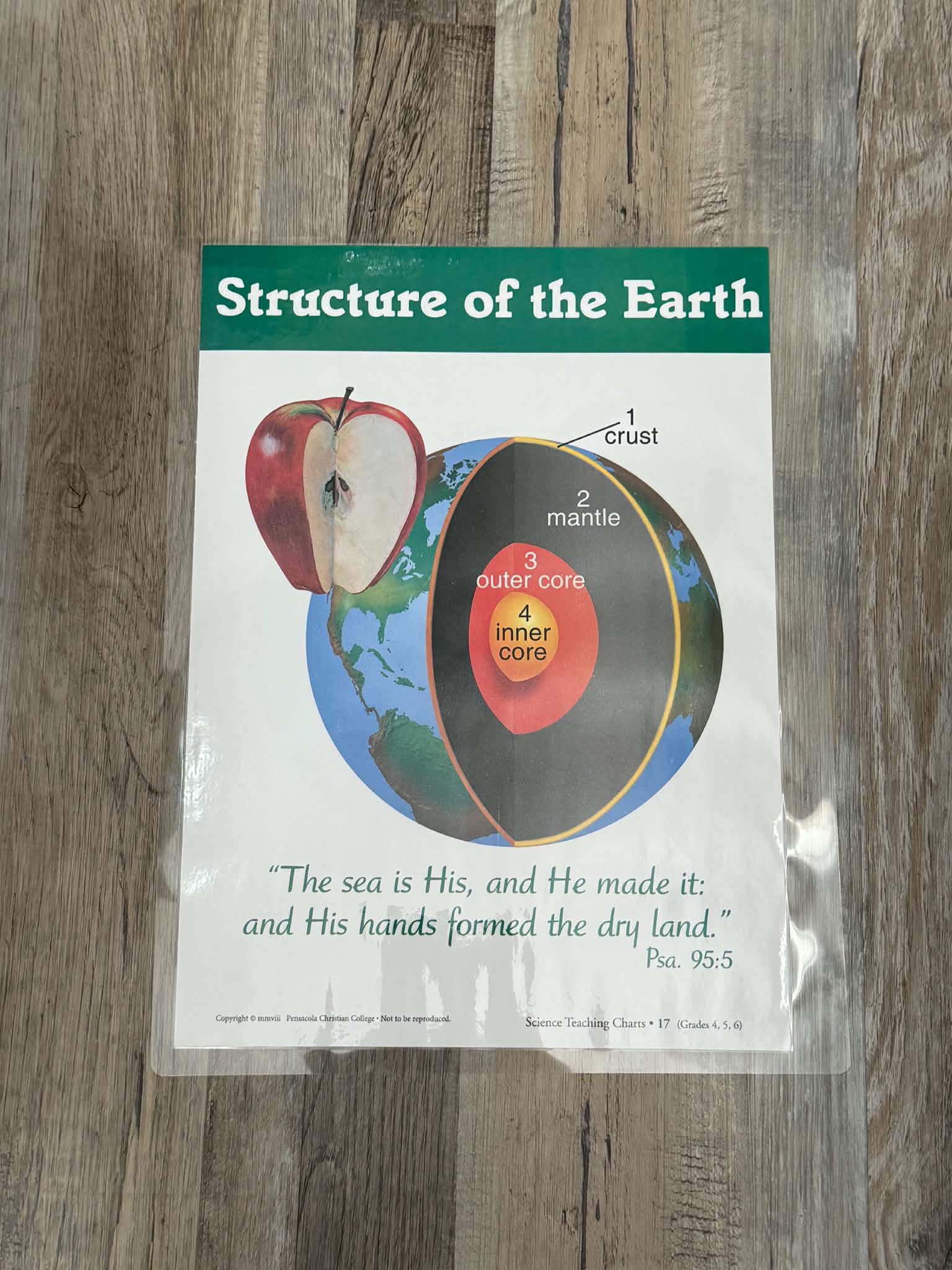 Science Teaching Charts Grades 4-6 Set (18 double sided charts) - Thumbnail 3