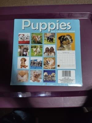 Puppies 12-Month 2022 Calendar (Sealed) - Thumbnail 2