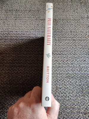 Pray Naturally: Finding Your Spiritual - Paperback, by Britton Rachel - New - Thumbnail 3