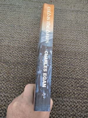 Cold is the Dawn: A Novel of Irish Exile and the Great Irish Famine - paperb... - Thumbnail 3