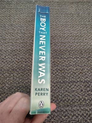 The Boy That Never Was by Perry, Karen [Paperback] - Thumbnail 3