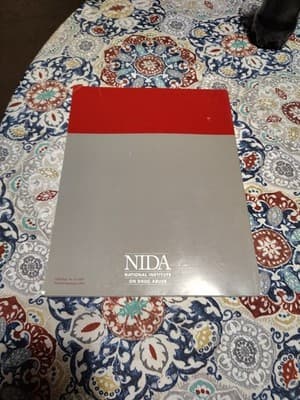 Therapy Manuals for Drug Addiction, Manual 4, Drug Counseling For Cocaine Addict - Thumbnail 2