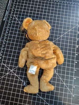 TY Beanie Baby - CASHEW the Bear (8.5 inch) - MWMTs Stuffed Animal Toy - Thumbnail 4