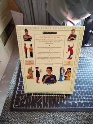Reader's Digest HOW BODY WORKS - Hardcover **BRAND NEW** 1994 (770455) - Thumbnail 2