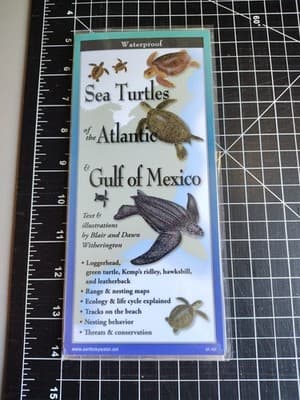 Sea Turtles of the Atlantic & Gulf of Mexico (Poster)