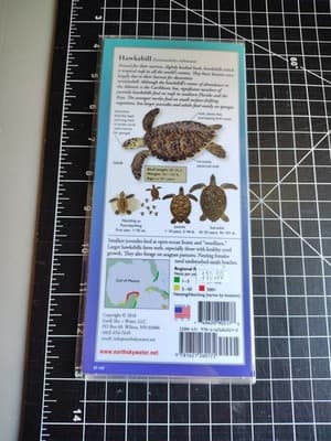 Sea Turtles of the Atlantic & Gulf of Mexico (Poster) - Thumbnail 2