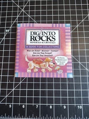 Dig into Rocks A Guide for Collectors 36 Pages Rocky the Rockhound is Your Guide