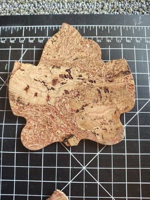 Maple Leaf Coasters set of 6 Sustainable All Natural Portugal Cork - Thumbnail 2