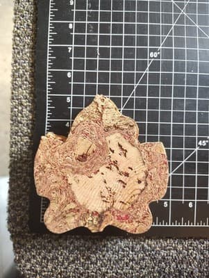 Maple Leaf Coasters set of 6 Sustainable All Natural Portugal Cork - Thumbnail 9