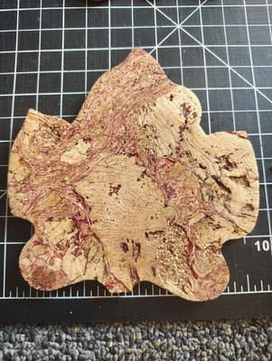 Maple Leaf Coasters set of 6 Sustainable All Natural Portugal Cork - Thumbnail 5