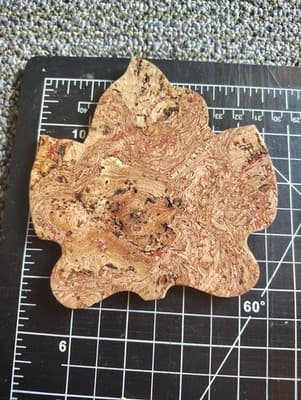 Maple Leaf Coasters set of 6 Sustainable All Natural Portugal Cork