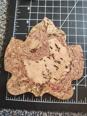 Maple Leaf Coasters set of 6 Sustainable All Natural Portugal Cork - Thumbnail 6