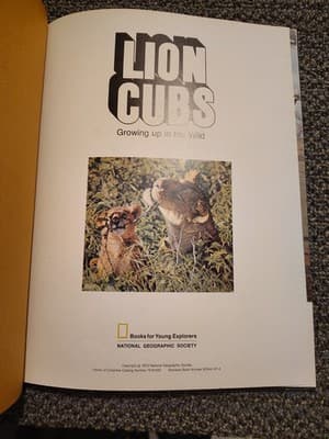 Lion Cubs Growing Up In The Wild hc National Geographic Society 1st. 1972 - Thumbnail 4