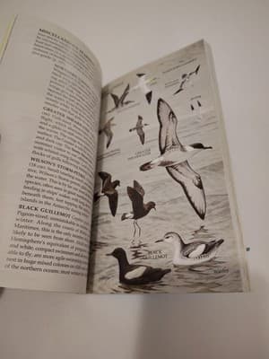 Eastern Birds: A Guide to Field Identifica... by Coe, James Paperback / softback - Thumbnail 5