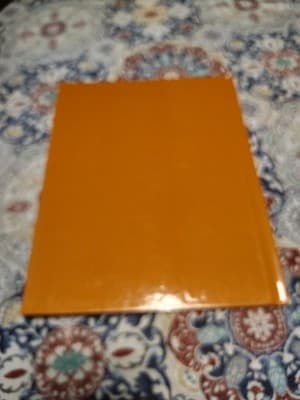 What Happens in the Autumn? Hardcover Suzanne Venino - Thumbnail 2