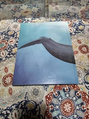 1977 The Blue Whale By Grosvenor HC 1st Ed. - Thumbnail 2