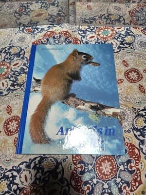 Animals In Winter [Hardcover] by National Geographic Books for young exploreres