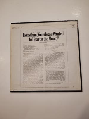 Everything You Always Wanted - Andrew Kazdin Thomas Z. Shepard UK Vinyl LP Album - Thumbnail 2