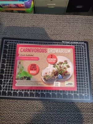 New - Unique Gardener Double Sphere Glass Terrarium - Carnivorous Growarium - Thumbnail 5