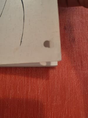 I Touch the Earth, the Earth Touches Me By Hugh Prather 1972 Paperback - Thumbnail 2