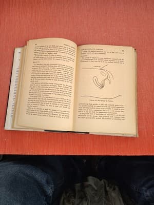 Practical Birth-Control Methods. Norman Himes & Abraham Stone 1938 1stEd 9thptg - Thumbnail 7
