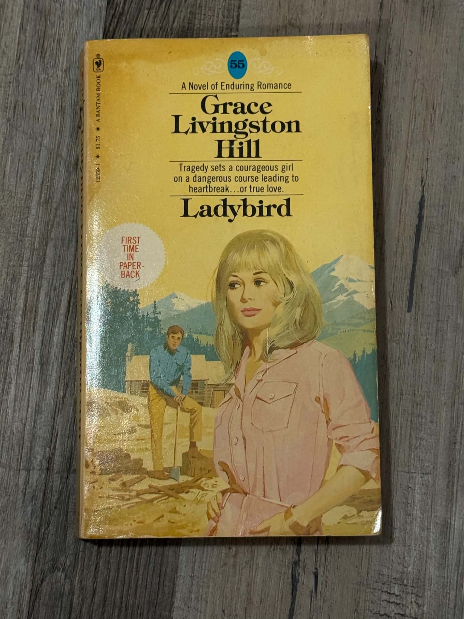 Ladybird by Grace Livingston Hill Paperback