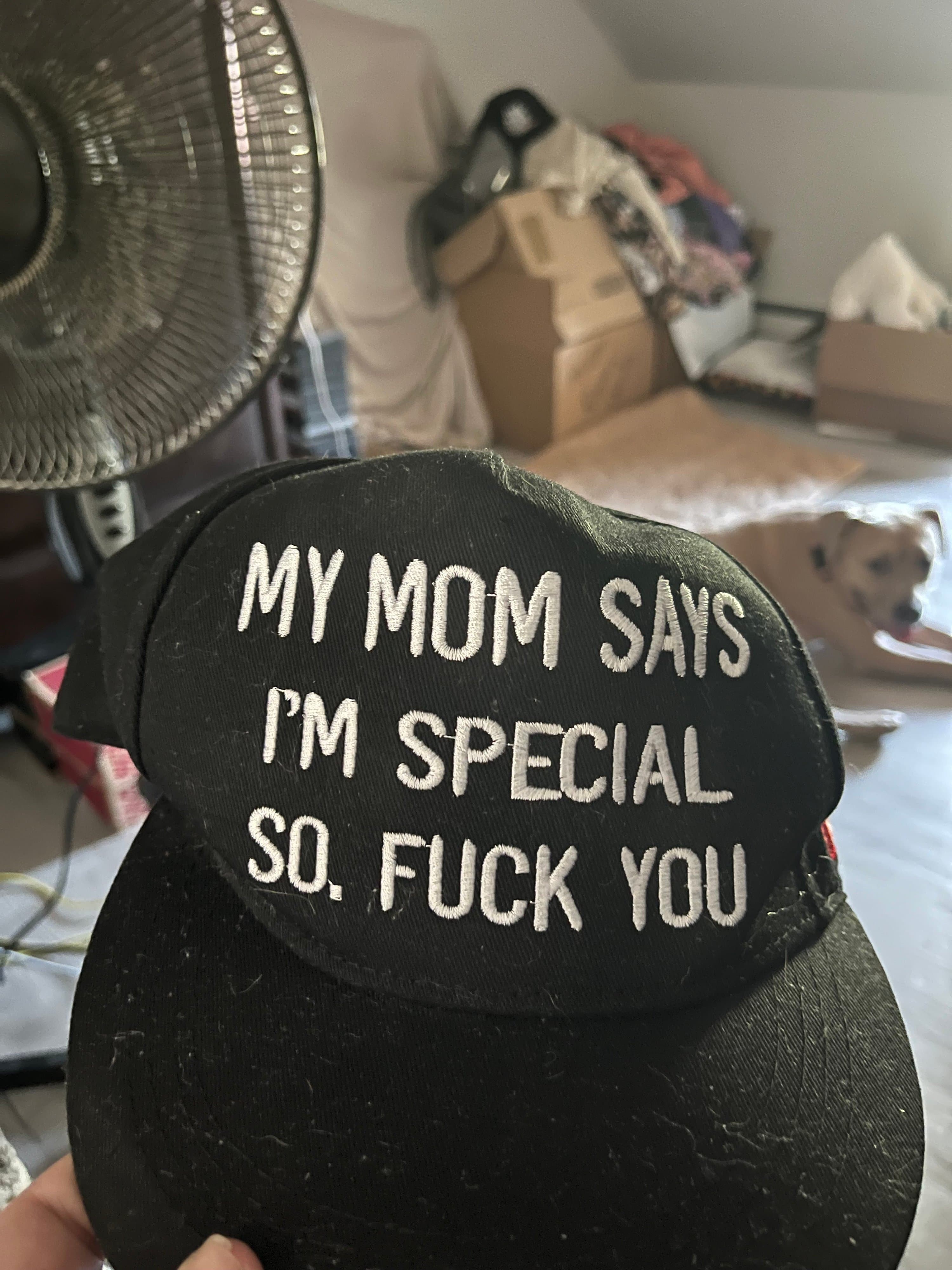 Premier Embroidered Black Snapback Hat