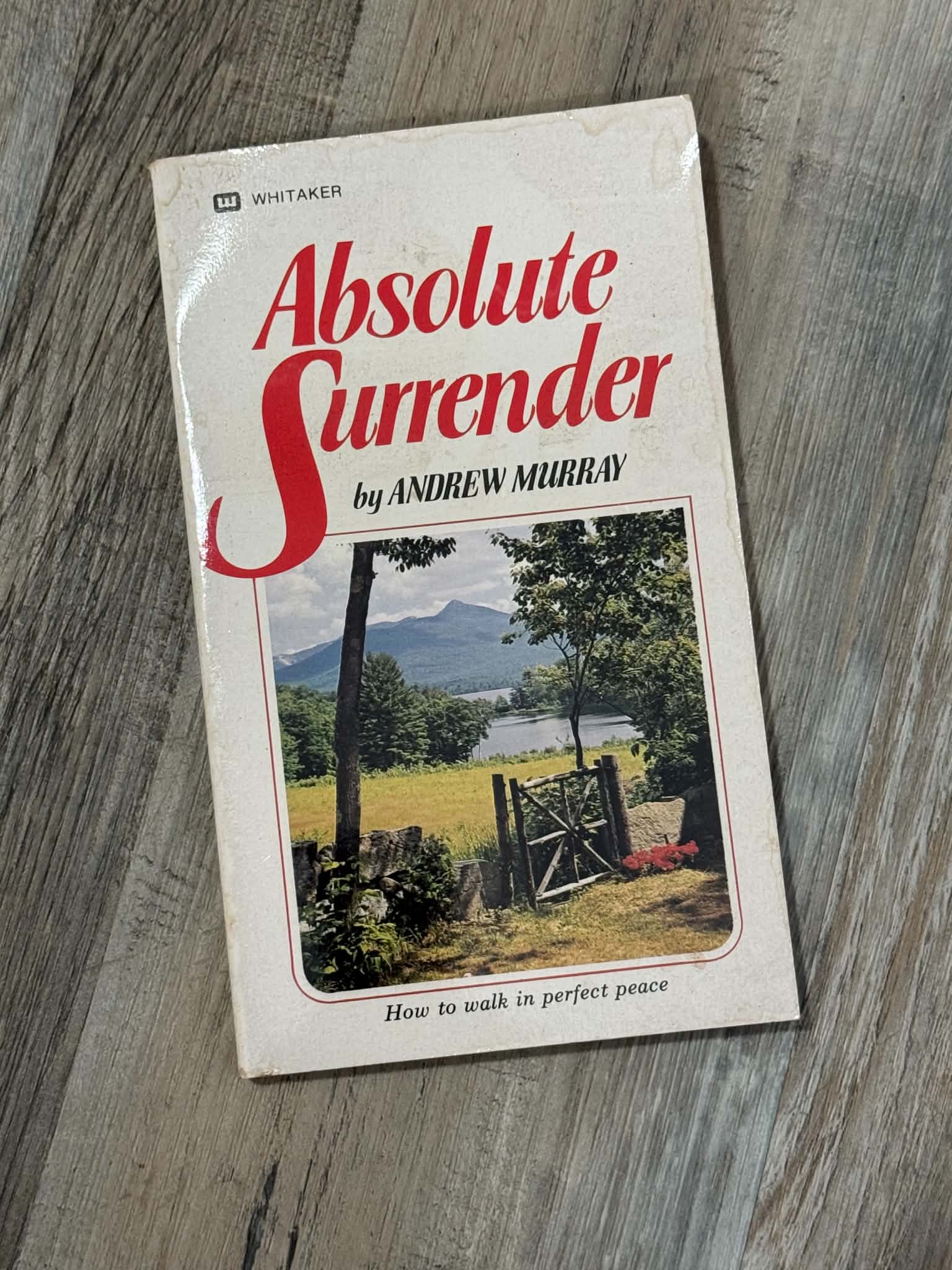 Absolute Surrender by Andrew Murray Paperback