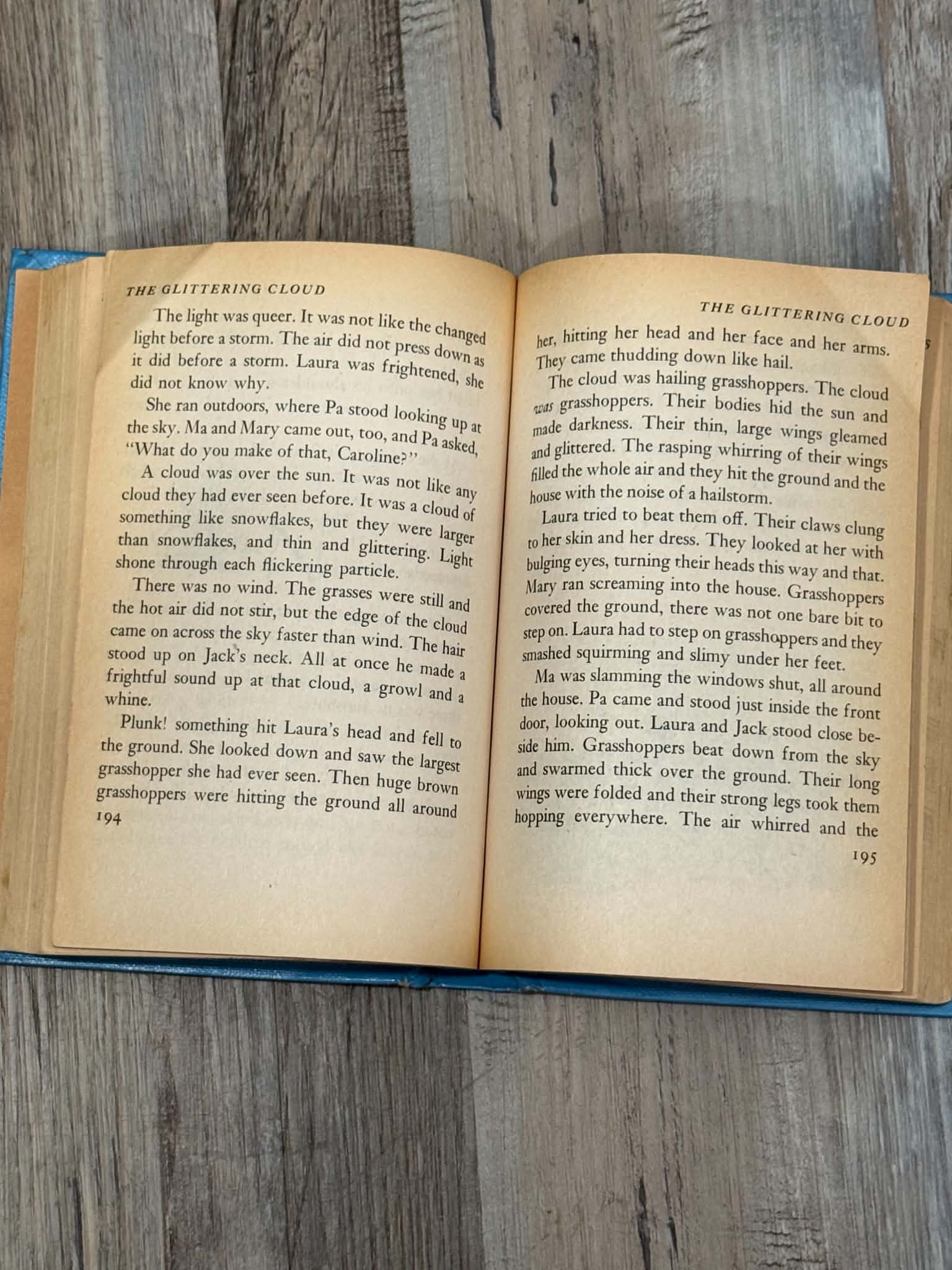 On the Banks of Plum Creek by Laura Ingalls Wilder - Thumbnail 2