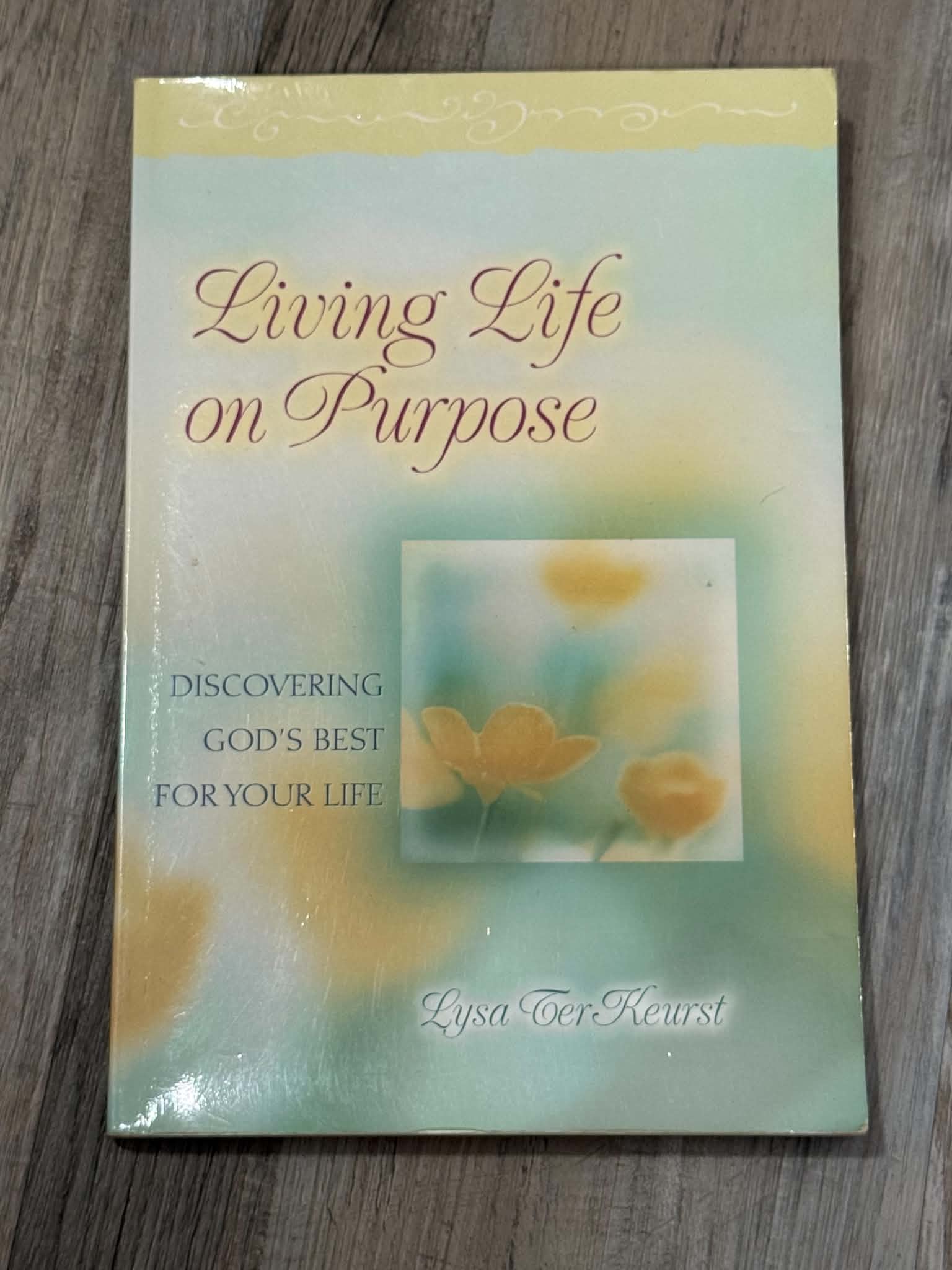 Living Life on Purpose by Lysa TerKeurst Paperback