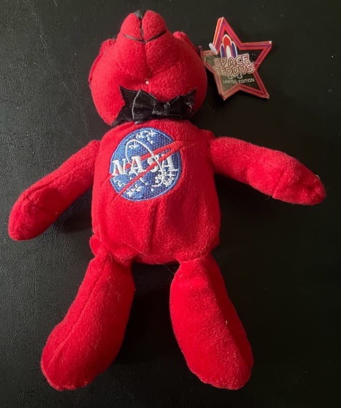 Space Teddys Limited Edition NASA Kennedy Space Center Plush Bear - Thumbnail 2