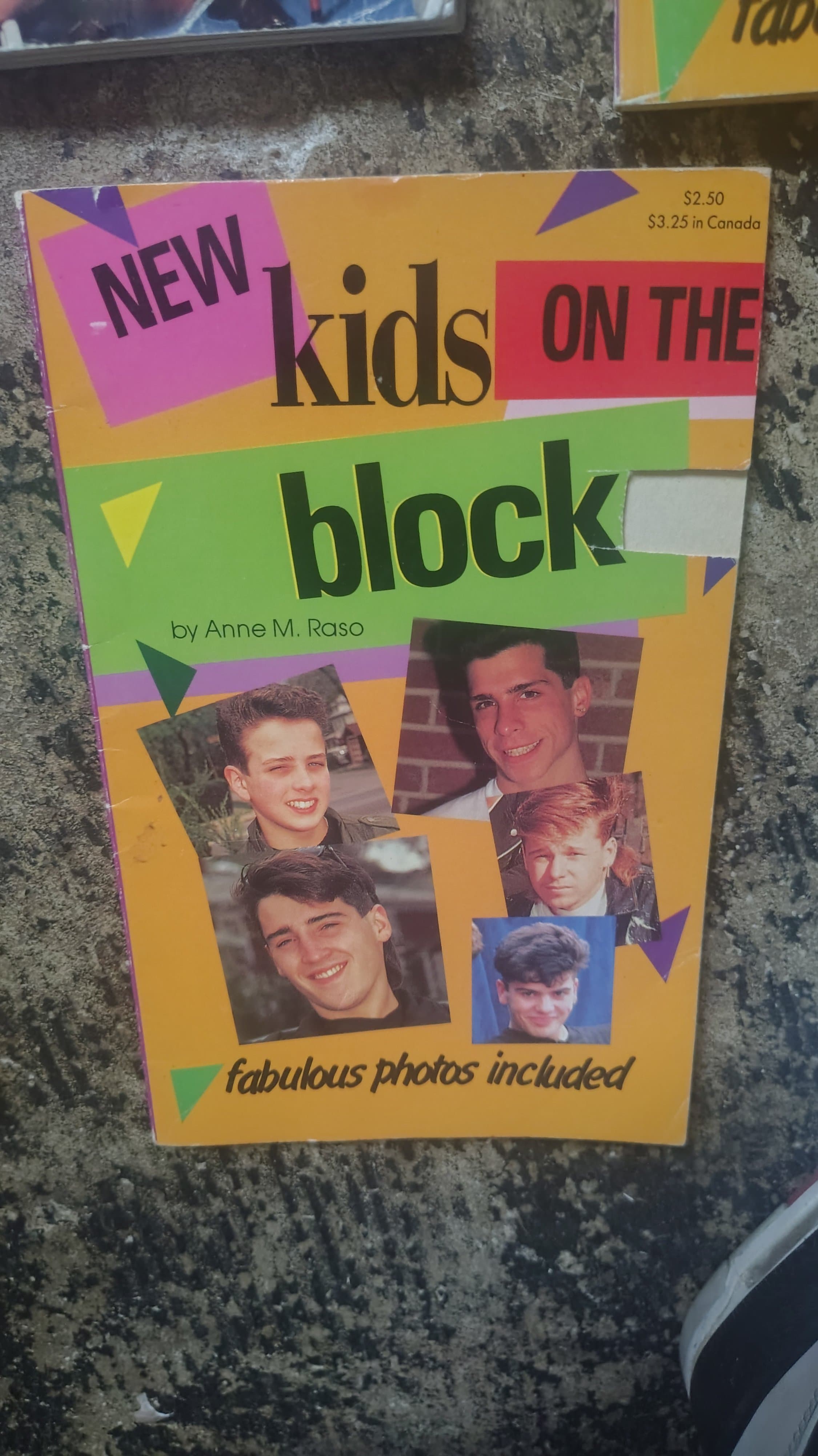 New kids on the block bundle - Thumbnail 20