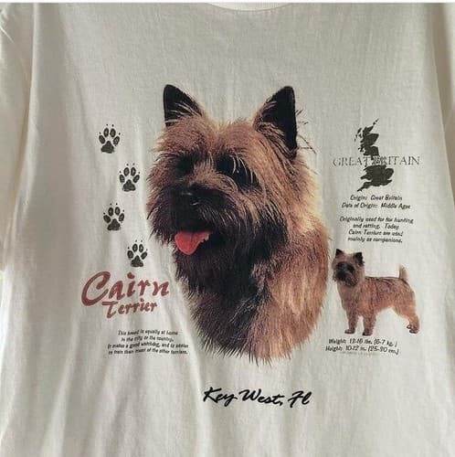 Vintage Y2K Cairn Terrier DOGS T-shirt Fruit of the Loom Tee MEDIUM Key West Fl - Thumbnail 2