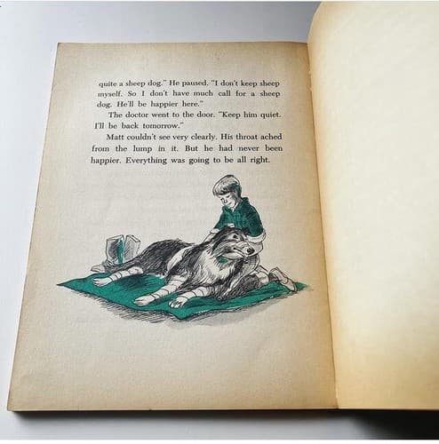 Vintage Champ Gallant Collie Children’s Book Paperback Patricia Lauber MCM - Thumbnail 9