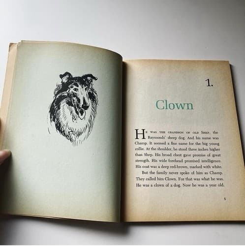 Vintage Champ Gallant Collie Children’s Book Paperback Patricia Lauber MCM - Thumbnail 5