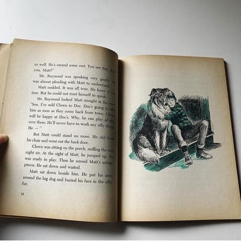 Vintage Champ Gallant Collie Children’s Book Paperback Patricia Lauber MCM - Thumbnail 6