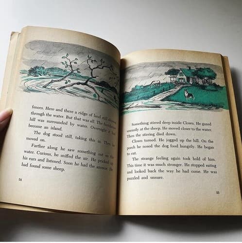 Vintage Champ Gallant Collie Children’s Book Paperback Patricia Lauber MCM - Thumbnail 7