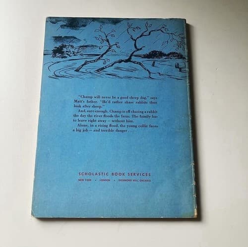 Vintage Champ Gallant Collie Children’s Book Paperback Patricia Lauber MCM - Thumbnail 2