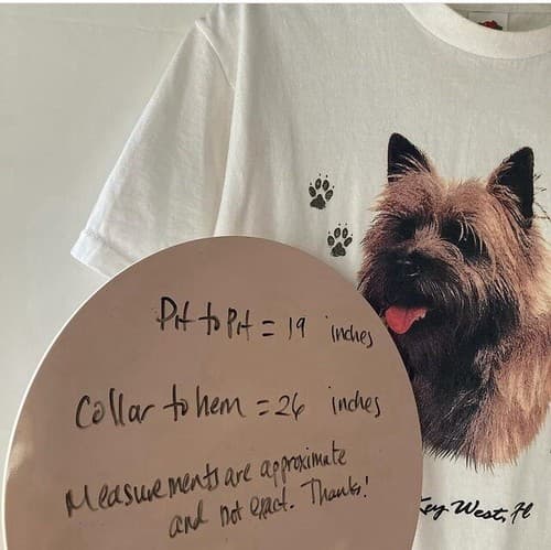 Vintage Y2K Cairn Terrier DOGS T-shirt Fruit of the Loom Tee MEDIUM Key West Fl - Thumbnail 4