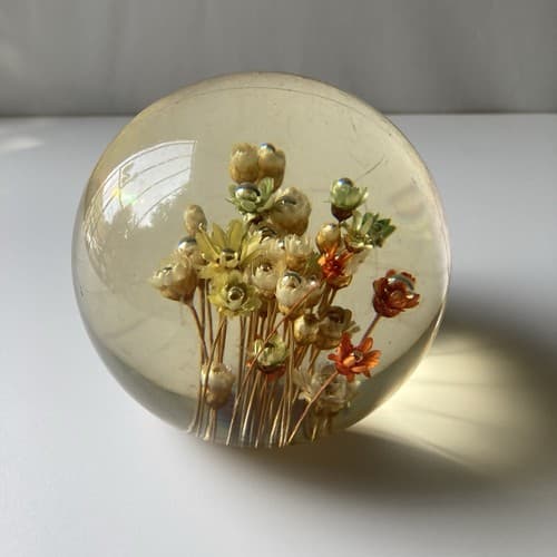 Vtg MCM Daisyglas Lucite Floral Dome Round Paperweight Dried Flowers Read Desc