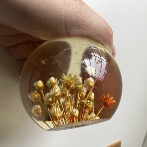 Vtg MCM Daisyglas Lucite Floral Dome Round Paperweight Dried Flowers Read Desc - Thumbnail 7