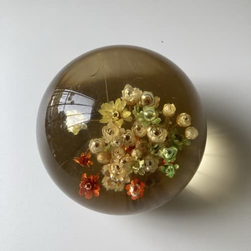 Vtg MCM Daisyglas Lucite Floral Dome Round Paperweight Dried Flowers Read Desc - Thumbnail 2