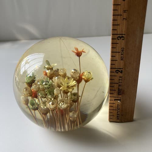 Vtg MCM Daisyglas Lucite Floral Dome Round Paperweight Dried Flowers Read Desc - Thumbnail 6
